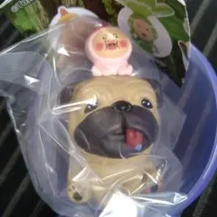 こびとづかん　おすわりマスコット 4