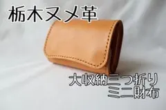 Item thumbnail for item 71504576-dd57-4714-9937-f4b5ae34cef5