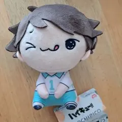 【新品】ハイキュー!! もちぴこ ぬいぐるみ　及川徹