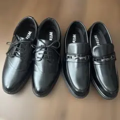 Item thumbnail for item 29140310-53ed-4417-a074-02db76aab2ec