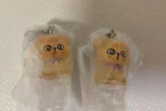 StrayKids　skzooめじるしアクセサリー パピーム2個セット