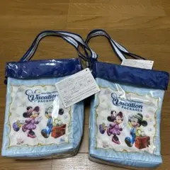 東京ディズニーリゾート バケーションパッケージ ポップコーンバケット 2個セット