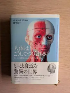 Item thumbnail for item b73f06dc-5388-4e07-bd5e-5d70cebb8519