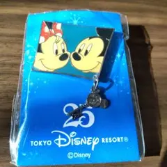 東京ディズニーリゾート　25周年ピンバッチ