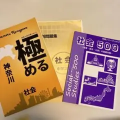 mana様専用　中学3年受験対策　社会のサムネイル