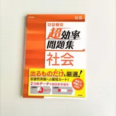 ふぃあ様 リクエスト 2点 まとめ商品