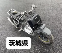 人気！！ズーマー掲載！ジャンク扱い 売約済み】ホンダ ズーマーが入荷しました。 | バイクパーツのジャンク