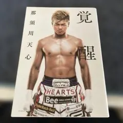 2026年最新】那須川天心 本の人気アイテム - メルカリ