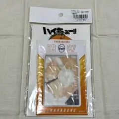 ハイキュー　バースデイカードホルダー　月島蛍