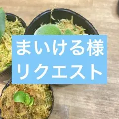 まいける様　リクエスト