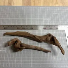 水槽用流木　2本セット　s101