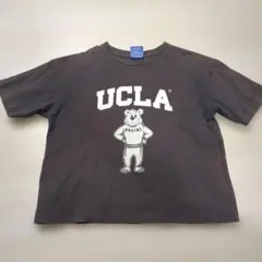 UCLA カレッジロゴ Tシャツ 120-130cmのサムネイル
