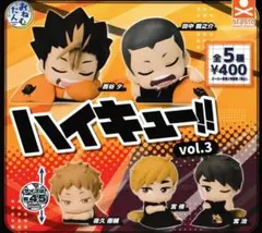 ハイキュー!! おねむたんvol.3 田中龍之介