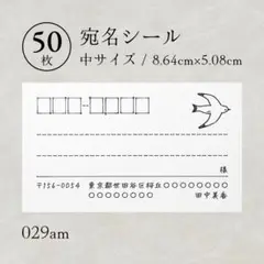 029am 宛名シール（中）50枚 カモメ 鳥
