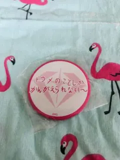 treasure ジョンファン キャラクター 缶バッジ 缶バッチ - メルカリ