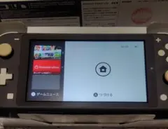 Nintendo Switch Lite 本体 グレー スイッチライト