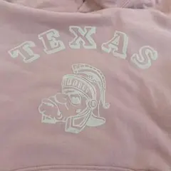 チャンピオンランタグ パーカーフロッキープリント