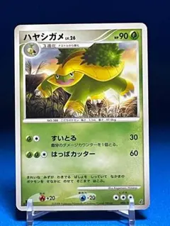 ハヤシガメ エントリーパック 002/013のサムネイル