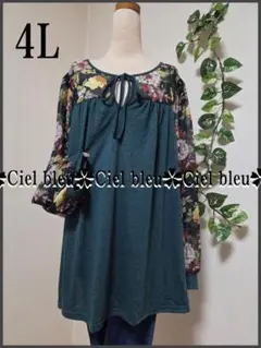 Item thumbnail for item 2ce5eea5-1b60-41f2-8bde-408bc424fd10