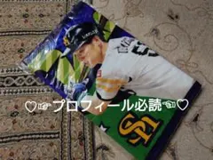 超希少！超レア！】イチロー レジャーシート オリックスバッファローズ