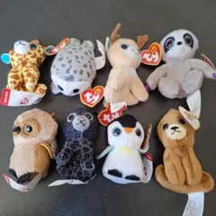 ty タイBeanieBoos ぬいぐるみ マスコット 8体　セット　新品タグ付