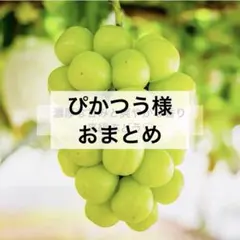 ぴかつう様 リクエスト 2点 まとめ商品