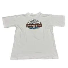 patagonia パタゴニア p6 葛飾北斎 札幌店舗限定tシャツ S - メルカリ