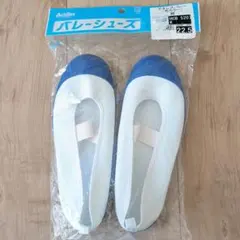 Achilles　アキレス　上靴　上履き　バレーシューズ　うわぐつ　２２.５㎝