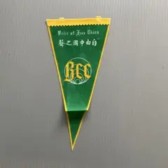 原口元気　直筆サイン　ヘルタベルリン　ペナント 原口元気 直筆サイン ヘルタベルリン ペナント - メルカリ