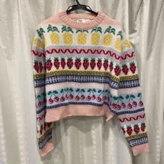 ZARA フルーツ柄 ニット　セーター
