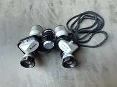 Item thumbnail for item 6bdafd24-9272-40d1-a28b-2c64cf19e911