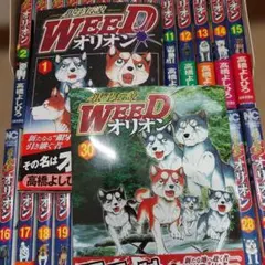 Item thumbnail for item 2b2090c9-cfdb-43e6-be0c-1dc3aafd0aec