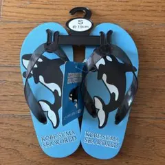 KOBE SUMA SEA WORLD ビーチサンダル S 約19cm