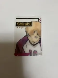 ハイキュー!! 箔押しクリアカードコレクション 白布賢二郎