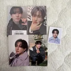 チャンビン トレカ 証明写真 5枚セット