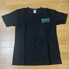 Item thumbnail for item c8364f7f-e283-473d-8e84-85043fd3d331