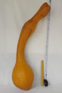 乾燥ひょうたん 特大 天然素材 瓢箪ランプ 縁起もの46cm。0 - メルカリ