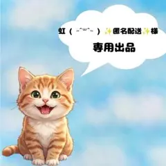 虹様専用おまとめ
