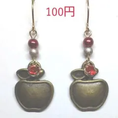 No.118 フックピアス