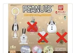 PEANUTS めじるしアクセサリー FUNNY ver. 3種セット