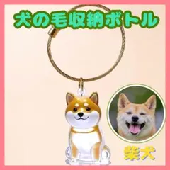 犬の毛　柴犬　キーホルダー　けだま ケース 収納 ペット