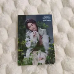 【生産終了品】【レア】大森元貴 アクリルプレート 大森元貴 French アクリルプレート Mrs.GREEN APPLE - メルカリ