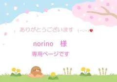 norino様専用ページです　꒰⁠⑅⁠ᵕ⁠༚⁠ᵕ⁠꒱⁠˖⁠♡