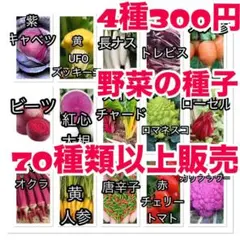 dag様 リクエスト 3点 まとめ商品