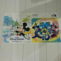 15枚　ディズニーショップ袋　お土産袋　ディズニーストア