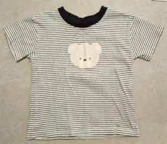 Cottoli コトリ ベビー半袖Tシャツ くま バースデイ プリントTシャツ