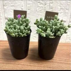 Miri様 リクエスト 2点 まとめ商品