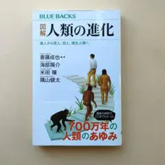 図解 人類の進化 猿人から原人、旧人、現生人類へ