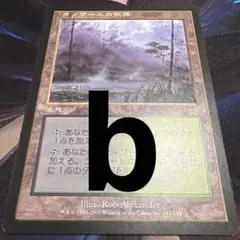 【まとめ買い200値引】ラノワールの荒原 日本語 アポカリプス APC b