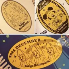 ディズニー　スーベニアメダル　マンスリー　12月　3枚